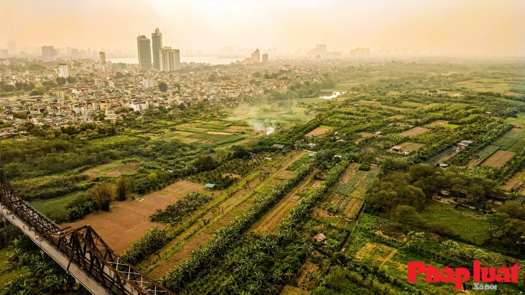 Thành lập sàn giao dịch quyền sử dụng đất: Việc làm đúng đắn nhưng cần cẩn trọng