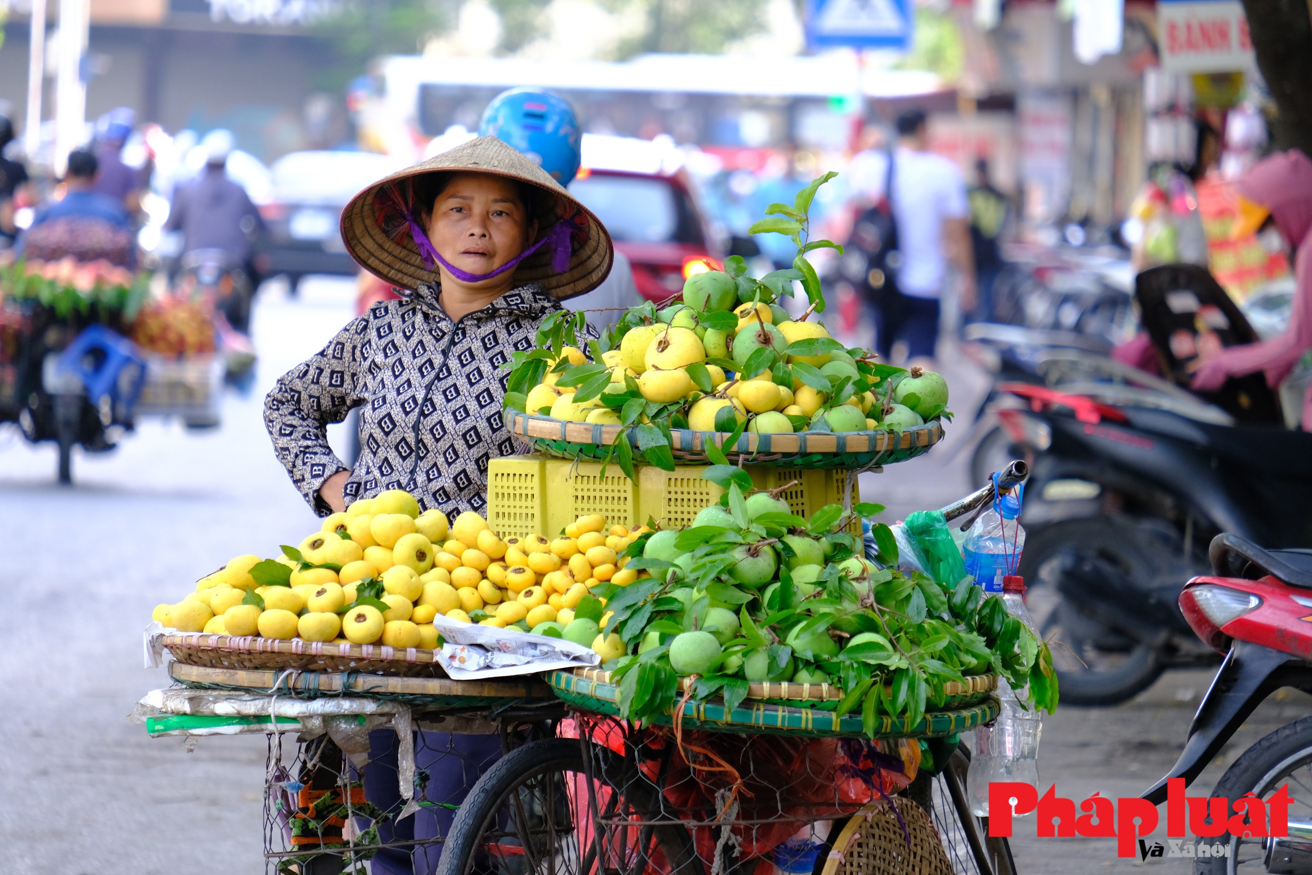 Quả thị 