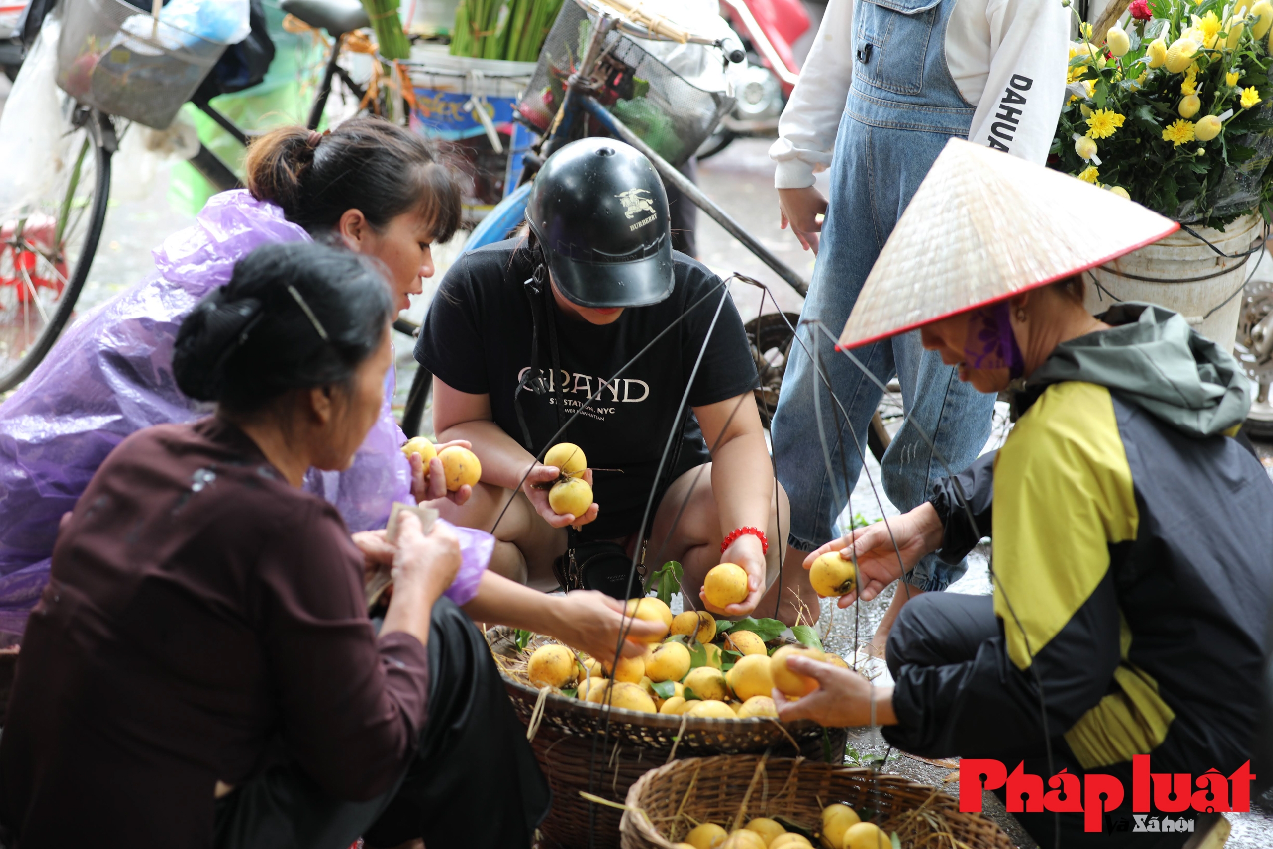 Quả thị 