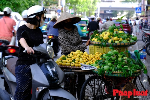 Quả thị "cô Tấm" chở cả mùa thu xuống phố Hà Nội