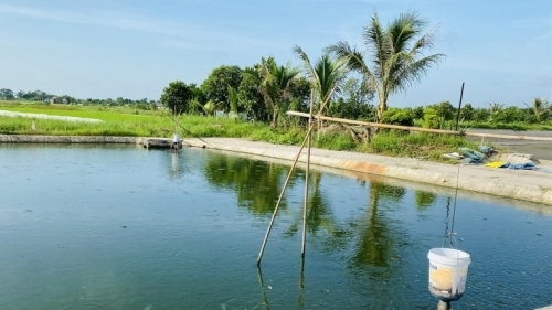 Cảnh tượng thương tâm của 2 ông cháu dưới ao nuôi chạch lúc chiều muộn