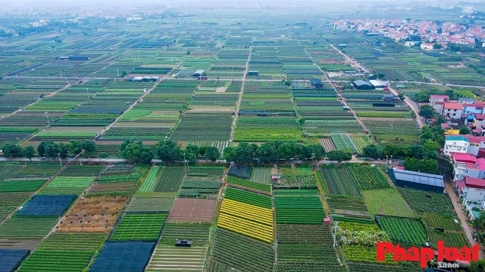 Phân quyền cho Hà Nội chuyển mục đích sử dụng đất trồng lúa, đất rừng