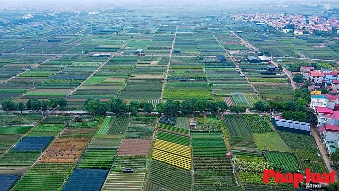 Phân quyền cho Hà Nội trong hoạt động chuyển mục đích sử dụng đất trồng lúa, đất rừng các loại sang mục đích khác là thực sự cần thiết.    Ảnh: Khánh Huy