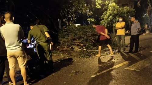 Tai nạn thương tâm, một người đàn ông tử vong khi đứng trú mưa dưới cây si