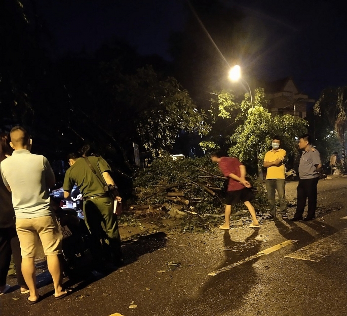 Tai nạn thương tâm, một người đàn ông tử vong khi đứng trú mưa dưới cây Si