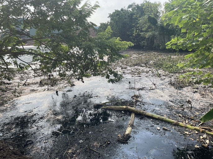 Vĩnh Phúc: Công ty Prime báo cáo xử lý sự cố ô nhiễm môi trường xảy ra hồi cuối tháng 8