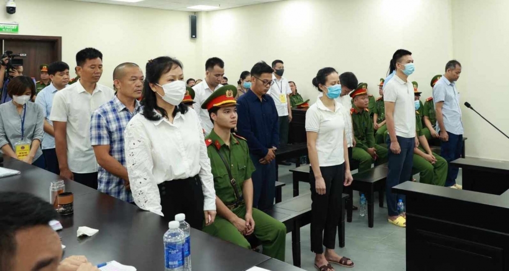 Tuyên phạt nhóm bị cáo trong vụ nâng khống giá cây xanh tại Hà Nội
