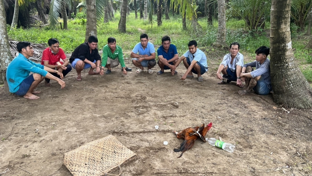 Phát hiện bí mật của 9 người đàn ông trong vườn dừa vào buổi chiều
