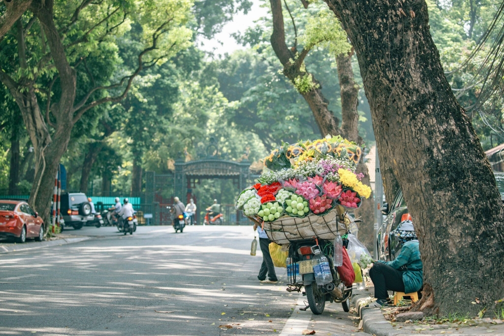 Dự báo thời tiết ngày 29/8/2023: