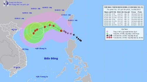 Hải Phòng: Chủ động ứng phó với bão SAOLA (cơn bão số 3)