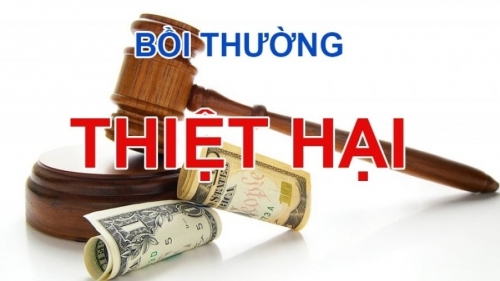 Người bị thiệt hại có quyền lựa chọn cơ chế giải quyết bồi thường phù hợp