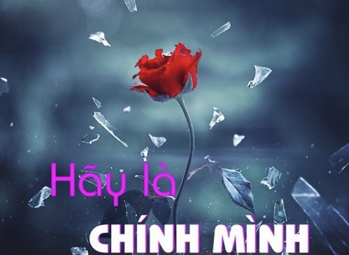 Ảnh minh họa: Haquate