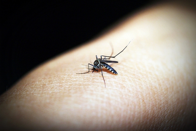 Lưu ý trong điều trị sốt xuất huyết Dengue