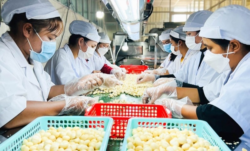 Việt Nam đang trở thành trung tâm sản xuất toàn cầu