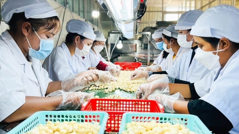 Việt Nam đang trở thành trung tâm sản xuất toàn cầu