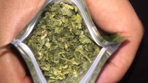 Bắt nam thanh niên giắt theo súng đi bán "cỏ Mỹ" ở Hải Phòng