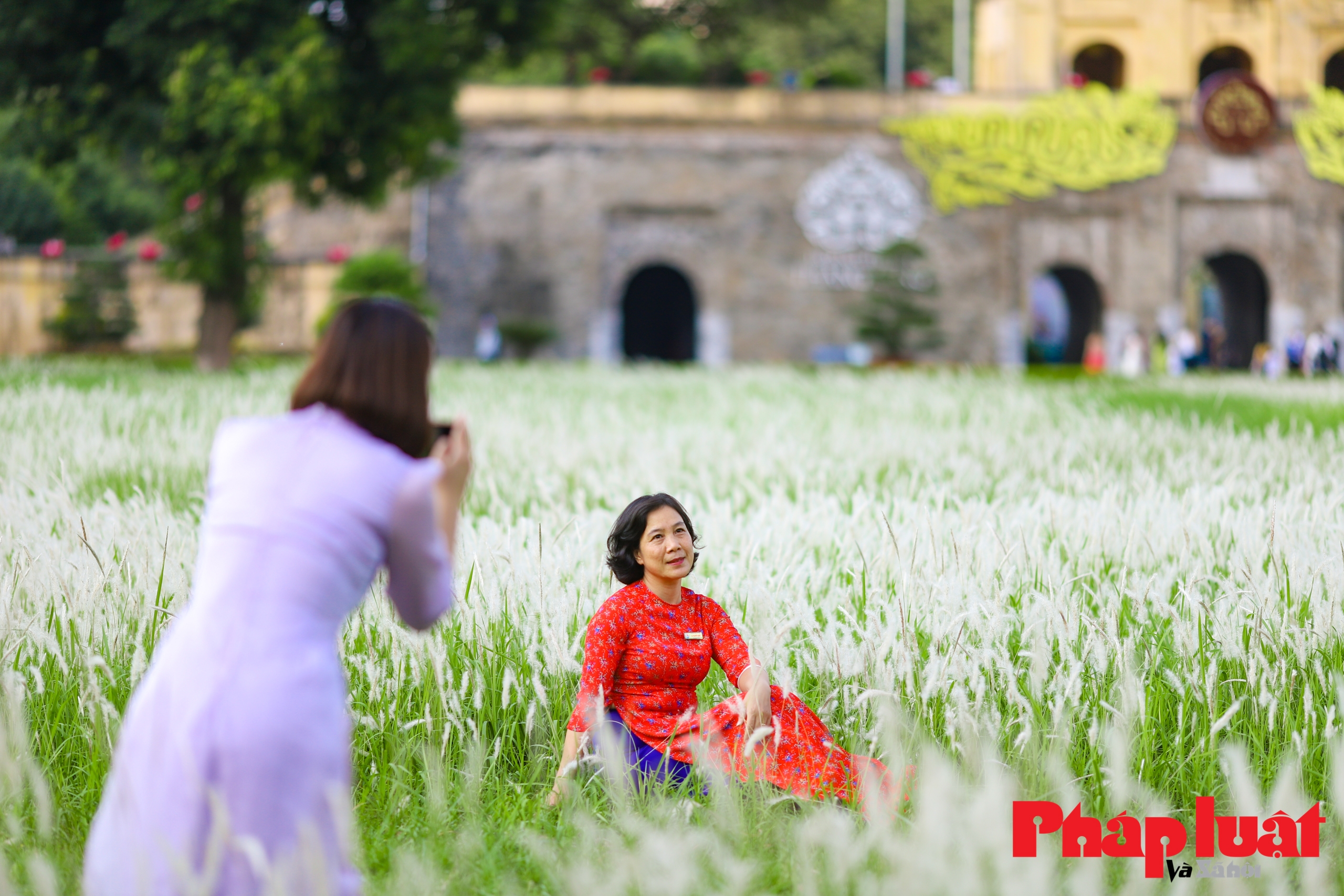 Hoàng Thành Thăng Long đẹp mơ màng mùa cỏ lau bình yên