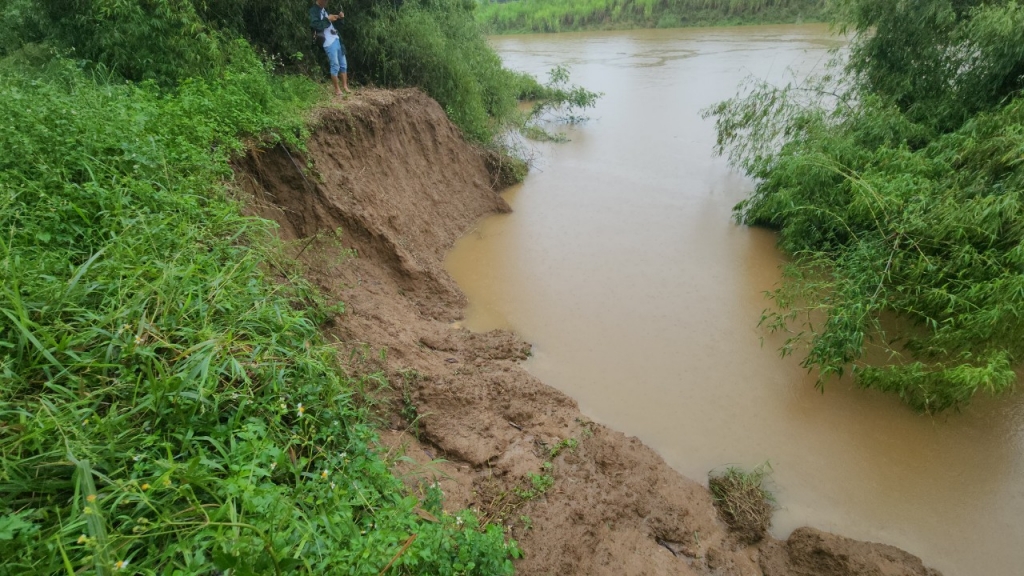 Tình trạng mưa lớn kéo dài gây ảnh hưởng đến nhiều tuyến đê trọng yếu trên địa bàn các huyện miền núi (ảnh Huy Hoàng)