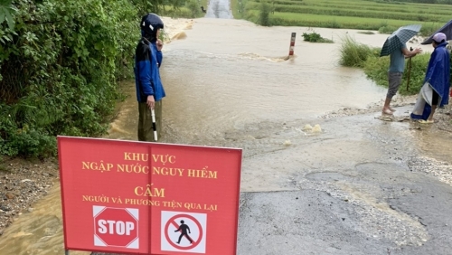 Mưa lũ khiến 2 người mất tích, hàng trăm hecta cây trồng bị ngập nước