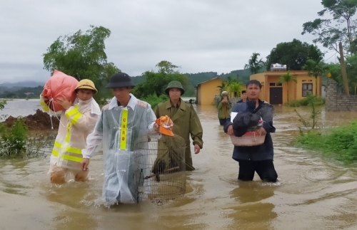 Thanh Hóa: Triển khai hỗ trợ người dân khắc phục hậu quả do mưa lũ