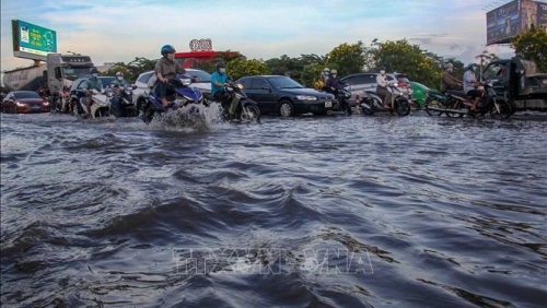 Cảnh báo triều cường dâng cao tại khu vực ven biển Nam Bộ