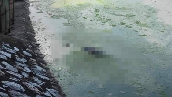 Hải Phòng: Phát hiện thi thể một phụ nữ nổi trên mặt hồ Quần Ngựa