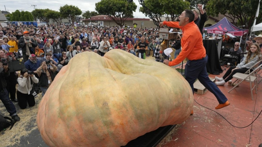 Giáo viên Mỹ lập kỷ lục thế giới với quả bí ngô khổng lồ