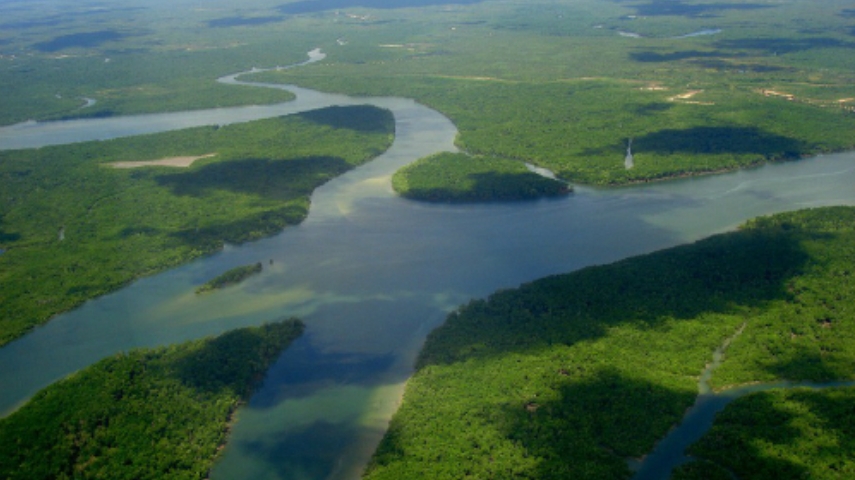 Mực nước của sông Amazon xuống mức thấp kỷ lục