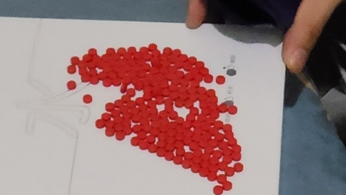 Đấu tranh, bắt giữ gần 200 đối tượng tội phạm về ma túy ở Hải Phòng