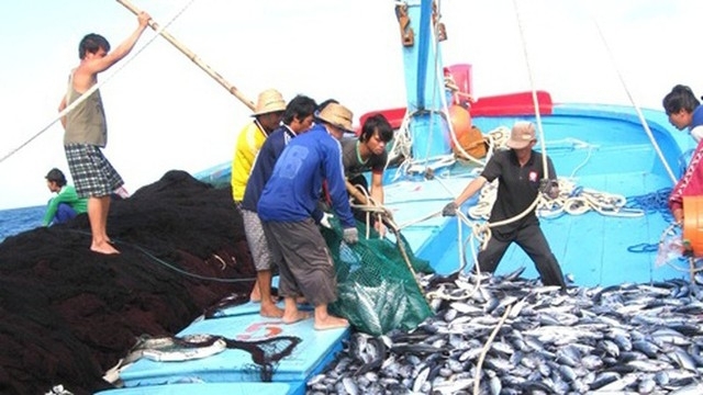 Thủ tướng chỉ đạo tập trung chống khai thác hải sản bất hợp pháp, gỡ cảnh báo “thẻ vàng” của Ủy ban châu Âu