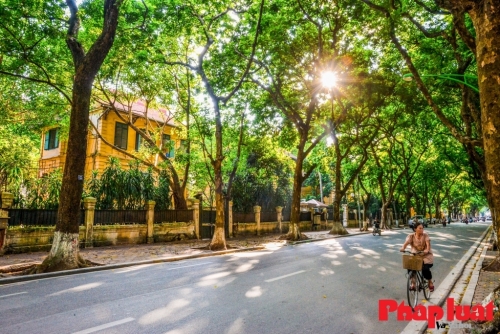 Dự báo thời tiết ngày 9/11/2023: Hà Nội không mưa, nhiệt độ tăng dần