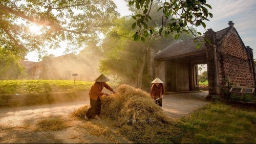 Nét duyên quê giữa lòng Hà Nội