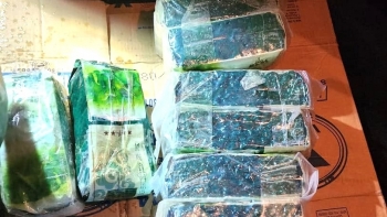 Nam thanh niên vứt lại túi xách chứa 10kg ma túy khi gặp Cảnh sát giao thông
