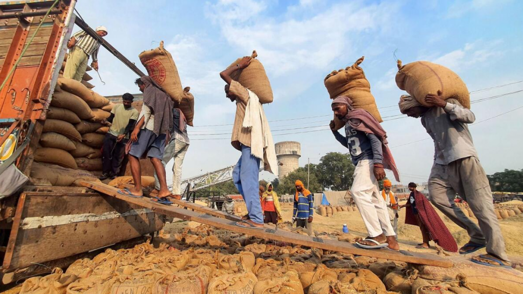 Ấn Độ quyết định duy trì lệnh cấm xuất khẩu gạo đến năm 2024