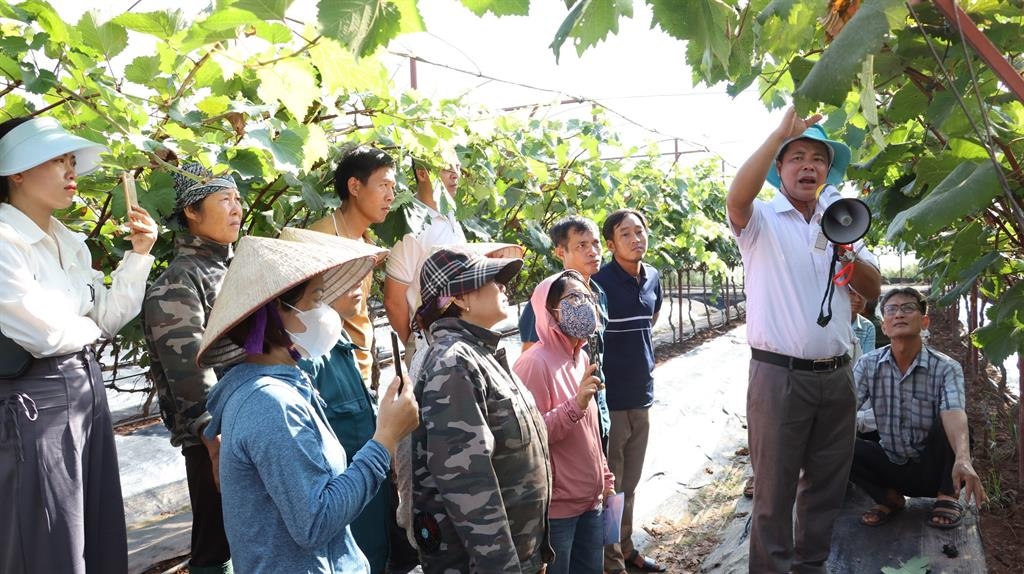 Bài 2: Cần chính sách hỗ trợ đào tạo cho thanh niên nông thôn có kiến thức trong lĩnh vực nông nghiệp