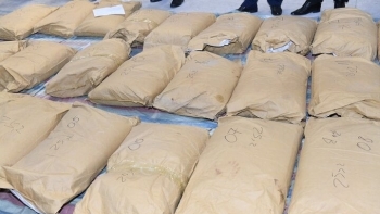 Hơn 1 tấn ma túy ngụy trang trong bao xi-măng tập kết tại kho hàng Hải Phòng