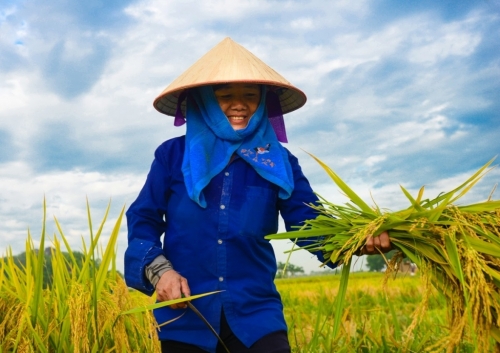 Bài cuối: Các giải pháp hỗ trợ phát triển nhân lực chất lượng cao cho nông nghiệp