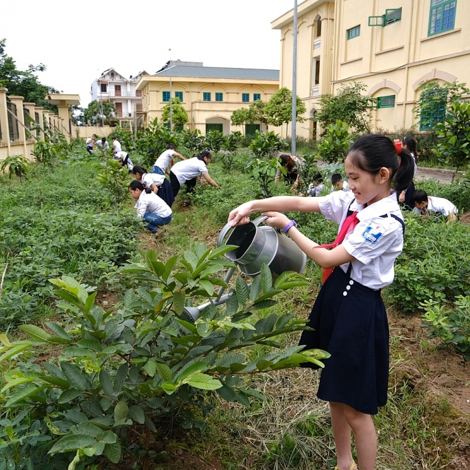 Học sinh tiểu học huyện Sóc Sơn tham gia trồng cây xanh bảo vệ môi trường. Ảnh: Công Hùng