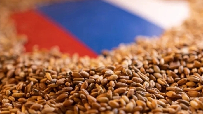 Nga trở lại Top 5 nhà cung cấp ngũ cốc lớn nhất cho châu Âu