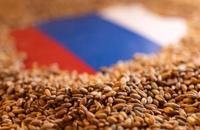 Nga trở lại Top 5 nhà cung cấp ngũ cốc lớn nhất cho châu Âu