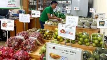 Hà Nội sẽ công khai địa điểm kinh doanh trái cây vi phạm an toàn thực phẩm