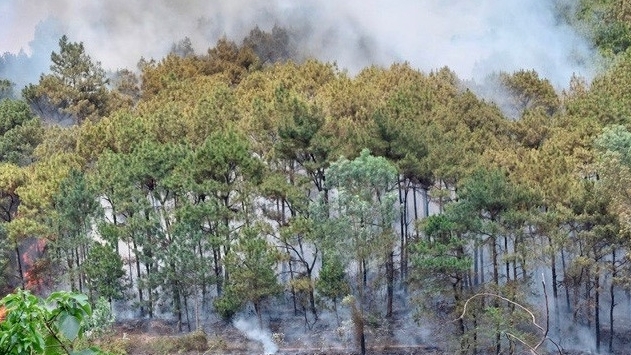 Chủ động ứng phó nguy cơ cháy rừng
