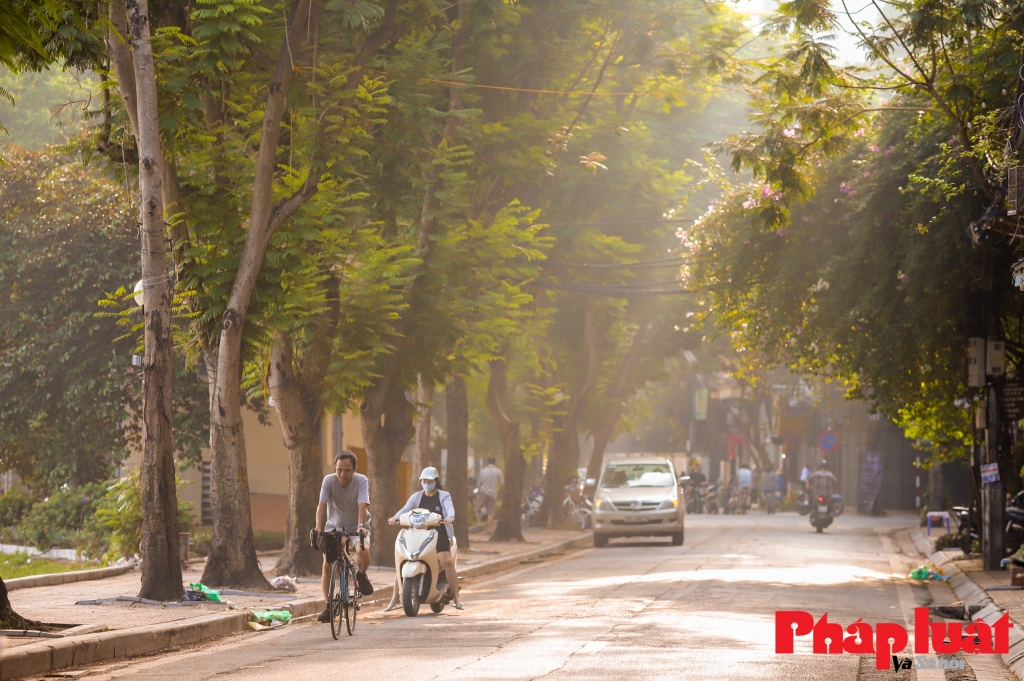 Dự báo thời tiết ngày 14/12/2023: Hà Nội tăng nhiệt, sáng sớm có sương mù