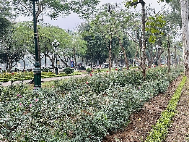Hà Nội sẽ có thêm công viên rộng hơn 95 ha tại quận Hà Đông. Ảnh: T. Chi