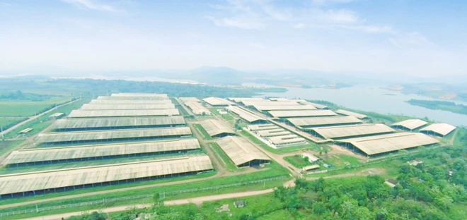 Hệ thống điện mặt trời mái nhà tại Trang trại của tập đoàn TH tại Nghĩa Đàn, Nghệ An.