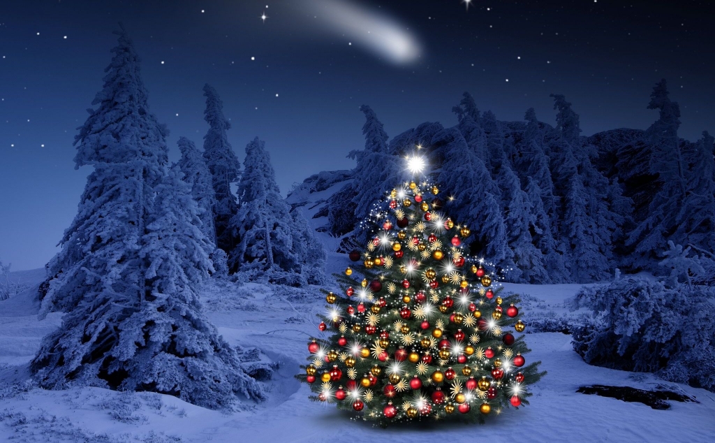 Vì sao Lễ Giáng Sinh nhất định phải có cây thông?