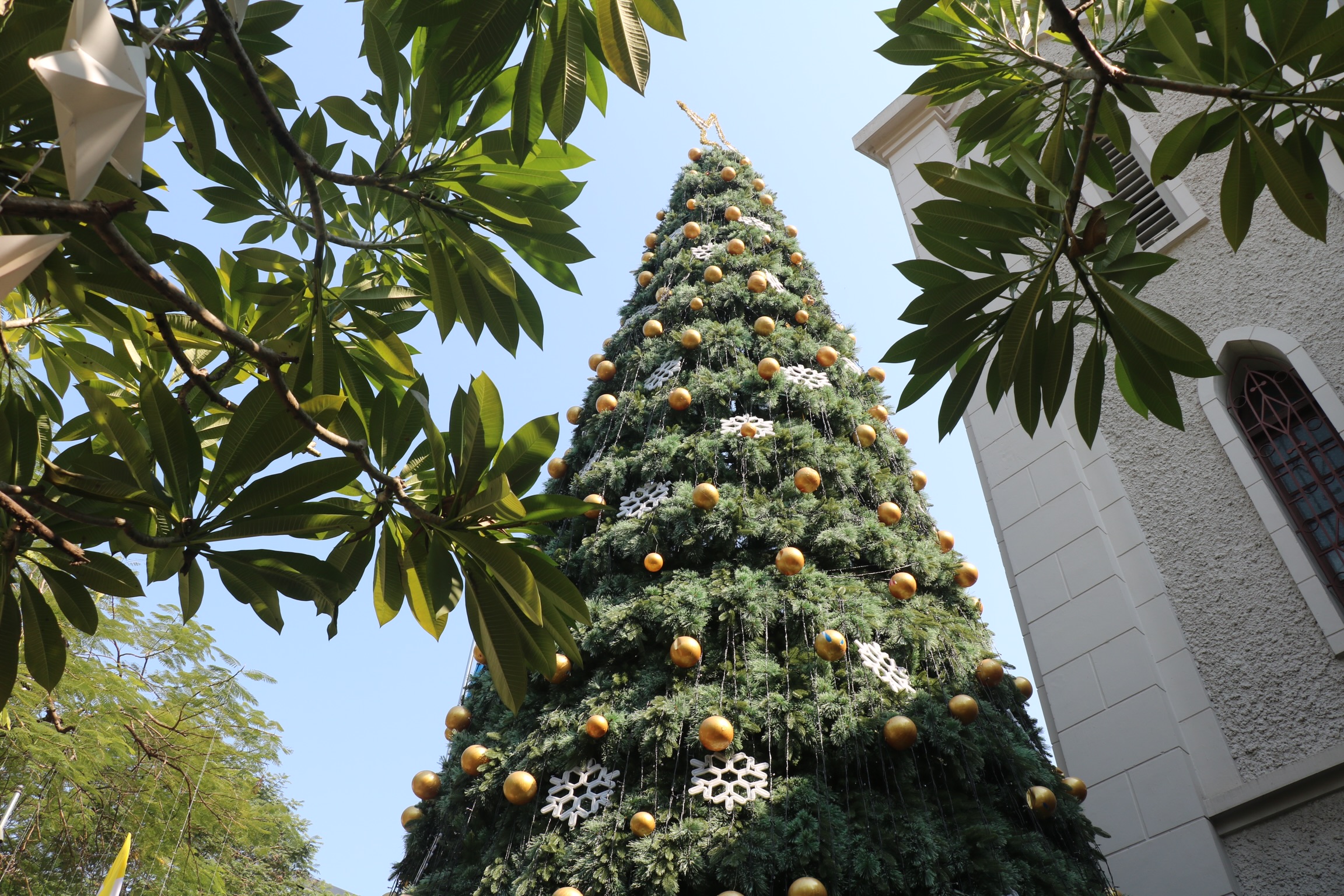 Hà Nội: Những địa điểm check in không thể bỏ lỡ trong dịp lễ Giáng sinh - Ảnh 3