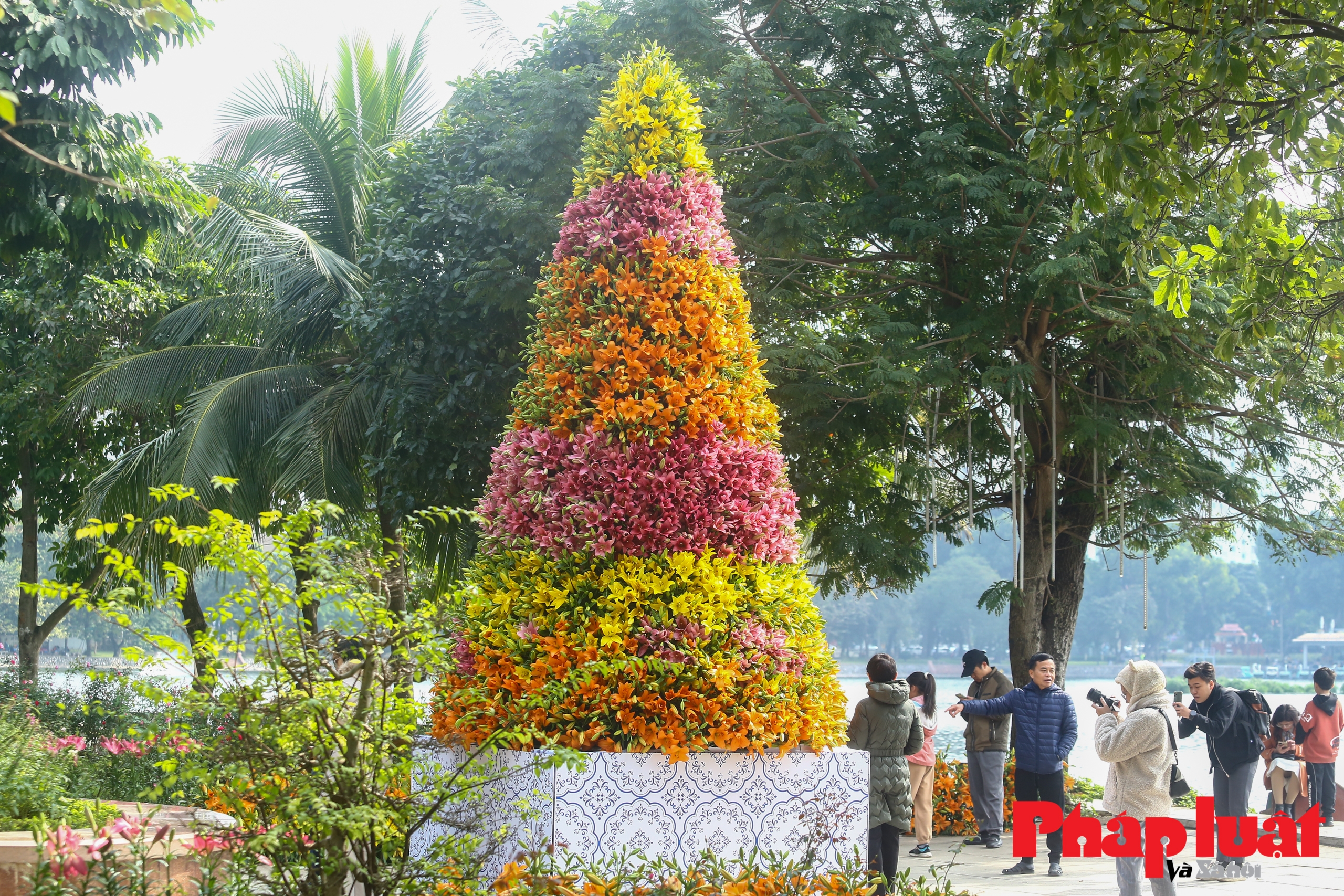 Cận cảnh cây thông Noel làm từ hoa ly độc nhất vô nhị ở Hà Nội