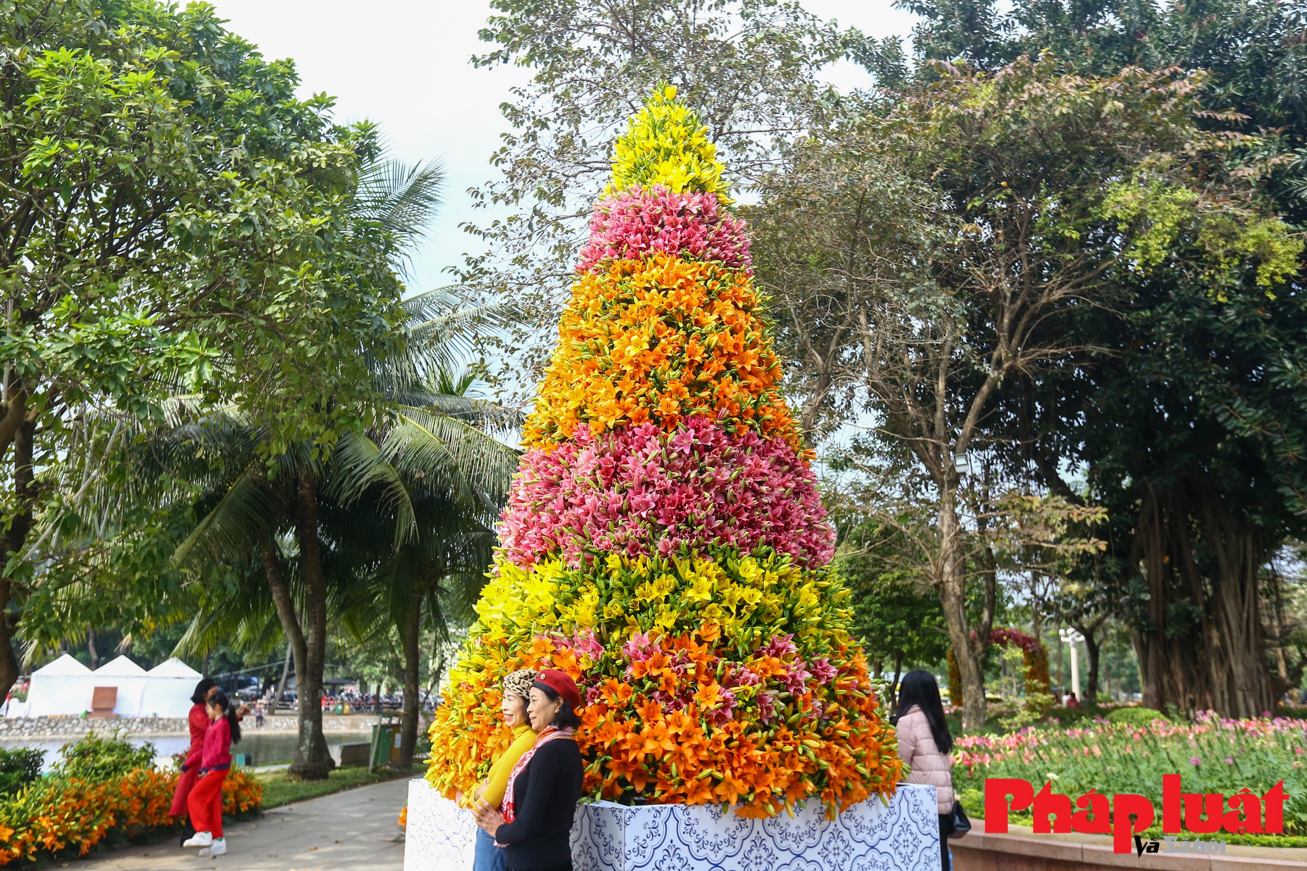Cận cảnh cây thông Noel làm từ hoa ly độc nhất vô nhị ở Hà Nội