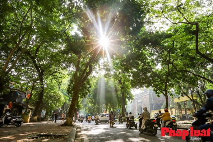 Cây xanh đô thị có nhiều giá trị và lợi ích cả về vật chất, tinh thần và cải thiện khí hậu - (Hàng cây xanh trên đường Phan Đình Phùng, quận Bà Đình). Ảnh: Khánh Huy